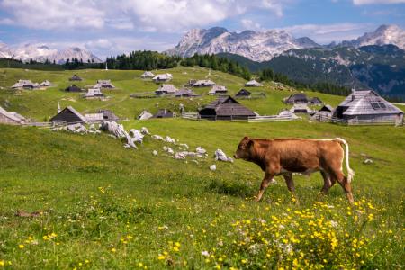 Velika planina prejela nagrado BEST OF 2025  (2)